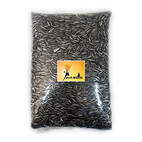 Small Size Strip Sunflower Bird Seeds 900 Gram