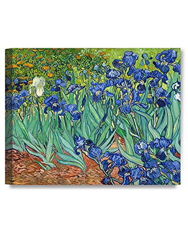 DECORARTS - Irises in The Garden, Vincent Van Gogh Art Reproduction. Giclee Canvas Prints Wall Art for Home Decor 30x24