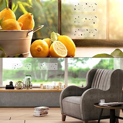 Faicuk 2E-ZRD5-YUAI 20-Pack Clear Window Fly Traps Sticky Fly Strip For Indoor Houseflies Nontoxic And Pesticide-Free thumb #5