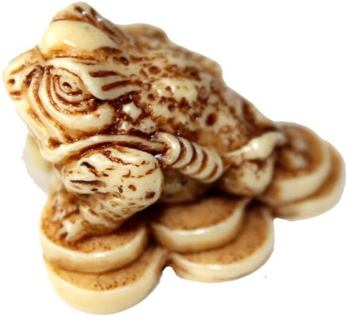 FENG Shui Pocket Money Frog ON Coins