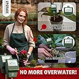 Antonki B0BN8M43CN lato 2