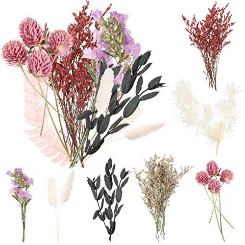 Heyu-Lotus Natürliche getrocknte Blumen, echte getrocknte gepresste Bluman DIY gemischte getrocknte Bluman für DIY-Kerzenharz, Schmuck, Nägel, Scrapbooking-Bastelarbeiten
