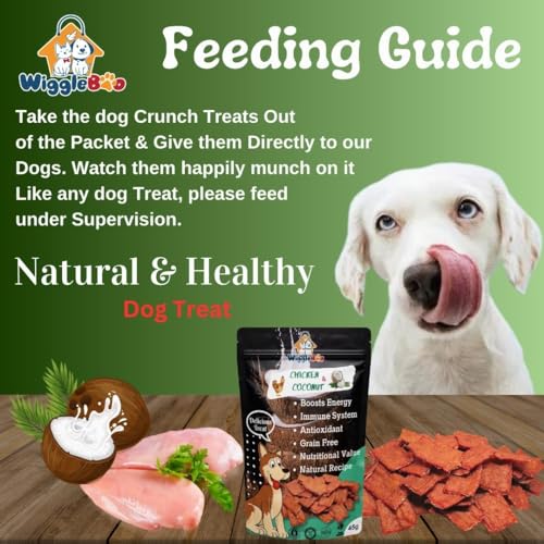 Image of Chicken & Coconut Dog Treat | Protein Rich | Fiber Rich | Crunchy Healthy Snacks | Training Treat | 45gm