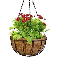 Algopix Similar Product 20 - CobraCo Black 12Inch Canterbury