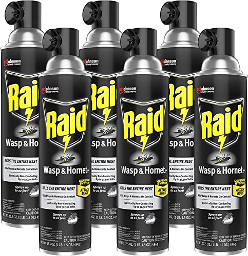 Raid Wasp And Hornet Killer 14 Oz. (Pack Of 6) #TOP6