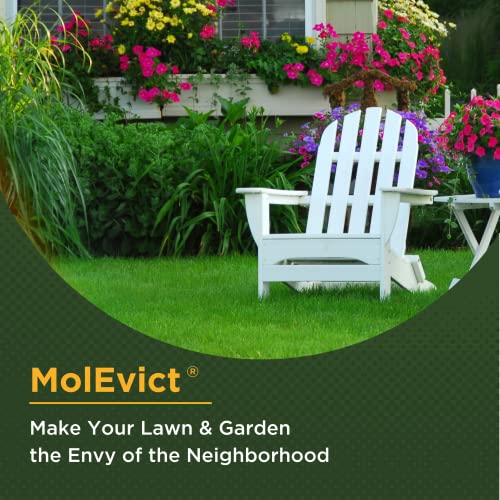 Mole No More: Transform Your Lawn with MolEvict Castor Oil Solution!
