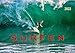 Surfen - Wasser, Wind und coole Typen (Wandkalender 2022 DIN A2 quer)