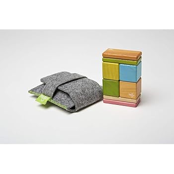 tegu daredevil magnetic wooden block set