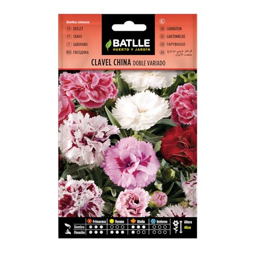 Batlle - Semi di Fiori - Garofano Cinese, Fiore Doppio, Grande varietà