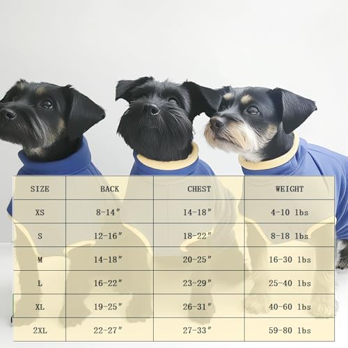 Image of Dog Surgery Recovery Suit After Spay, Dog Onesies for Small, Medium & Large Pet, Abdominal Wounds Post Surgical Recovery Suit lternatives to E-Collars Bandages Recovery Cones (Blue, 2XLarge)
