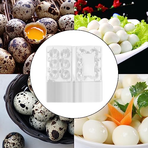 DYOUen 50 Stück Wachteleierschachteln 6 Gitter Wachtelei-Kartons Eierschalen mit Deckel mit 100pcs Gummiband