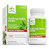 Terry Naturally Andrographis EP80 Extra Strength - Brain Health & Immune Support - Joint Health Supplement to Aid Mobility - Vegan Adaptogen Supplement for Energy & Liver Support - 60 Capsules