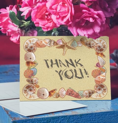 Image of Stonehouse Collection Beach Note Card Set - 10 Boxed Beach Sand Note Cards - Sandy Note Card Set - (Shells)