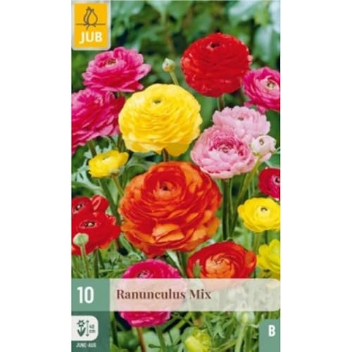 10 bulbes mix renoncules