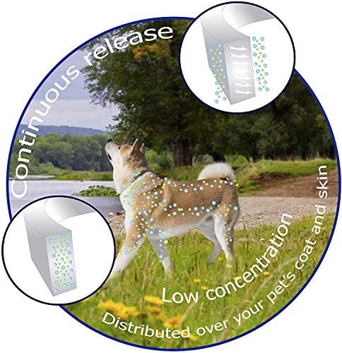 Flea And Tick Collar for Dogs, Waterproof, Anti Flea Collar Adjustable Natural & Safe, 8 Month Protection Efficiently Repellent Locust Life of Pets,Cat Non-Toxic Dog Flea Treatment [Upgrade Version]