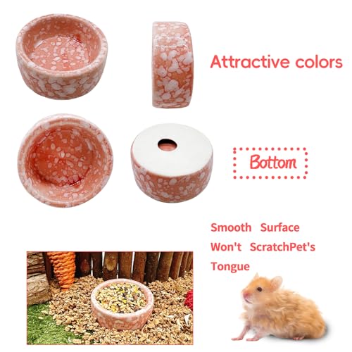 kathson 4 Pcs Hamster Food Bowl Guinea Pig Ceramic Water Bowl Small Animal Feeding Dish for Dwarf Hamster Gerbil Syrian Ferret Hedgehog Chinchilla Bunny (Pink) - Image 6