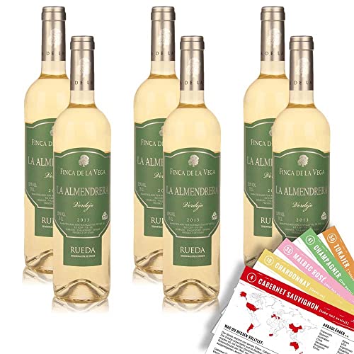 Ritmo de la Vida Verdejo Wein – Trockener Weißwein aus Spanien (1 x 0,75l)