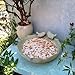 Bakayoyo Ceramic Bird Bath for Outside on Ground, 9.45-Inch Birds Bath Bowl Only, Ground Bird Feeders and birdbath for Outdoors, Garden, Tabletop, Deck, Balcony and Lawn