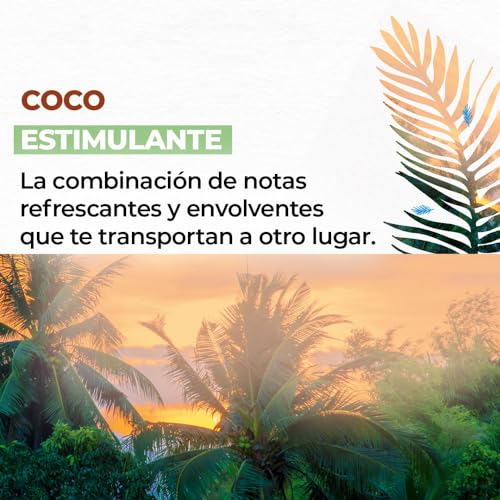 La Mejor Recopilación de Crema de coco para el cuerpo que Puedes Comprar On-line. 17 Imagen adicional