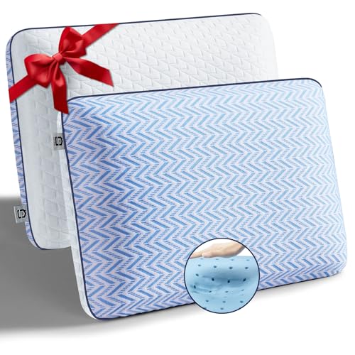 Gel Memory Foam Pillow Set of 2