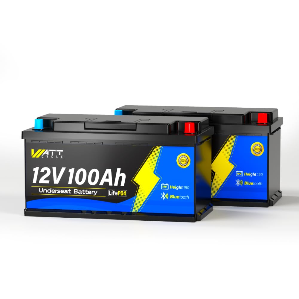 WattCycle Lot de 2 Batteries Lithium LiFePO4 12V 100Ah Bluetooth H190, Batteries Compactes avec BMS 100A et Protection Basse Température, 15000+ Cycles, pour Camping-Car et Solaire