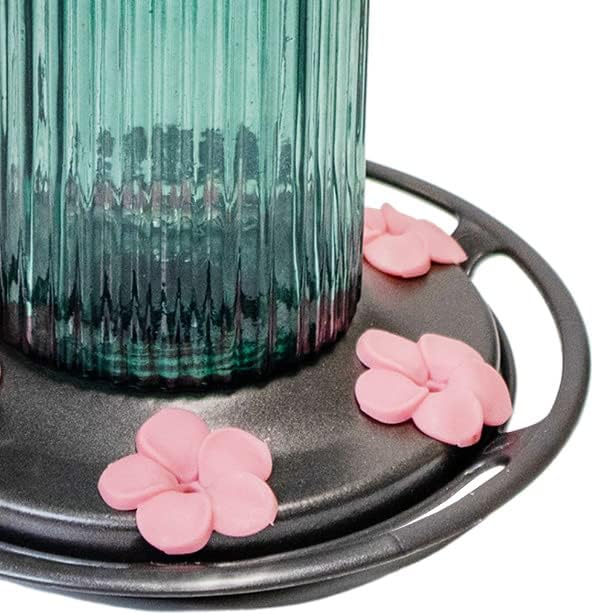 Nature’s Way Antique Glass Hummingbird Feeders, Teal, Pack of 2, 25 oz Bottle Style with 6 Pink Flower Ports, Saucer Base with Perch, Hanging Outdoor Nectar Feeders