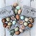 Half Dozen Egg Cartons- 15 Full Dozen Can Split to 30 Half Dozen Size Cartons- Securely Holds 6 or 12 Extra Large Eggs