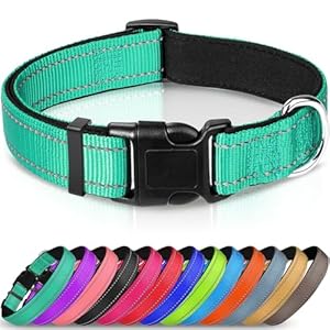 Joytale Reflective Dog Collar,Soft Neoprene Padded Breathable Nylon Pet Collar Adjustable for Large Dogs,Teal,L
