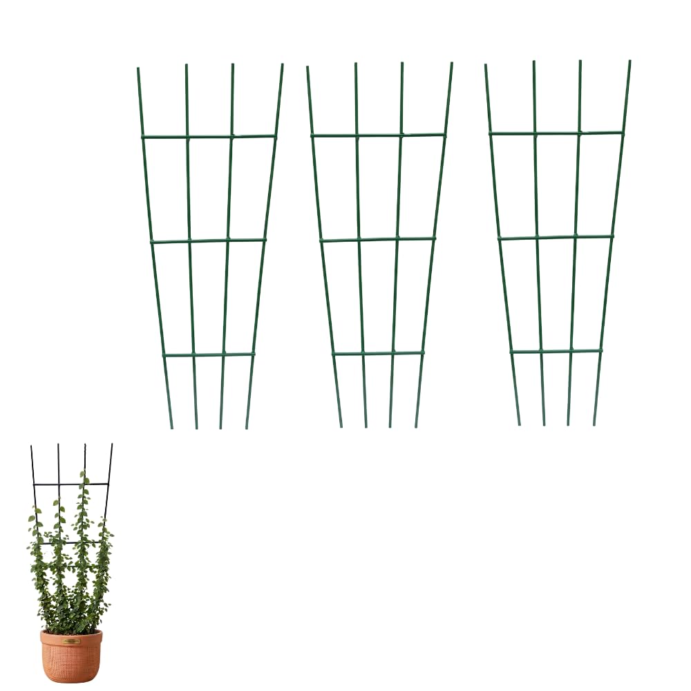 24 Inch Straight Plant Trellis for Climbing Plants, Heavy Duty Metal Plant Support Stake, Rust Resistant Garden Trellis for Pots, Vines, Ivy, Creepers & Flower Plants-image-31