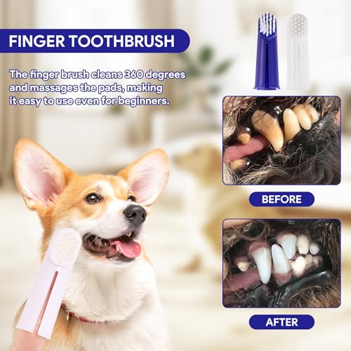 Hunde Zahnpflege Set, Hundezahnpasta Gegen Zahnstein und Hundezahnbürste Fingerzahnbürste Set, Hunde Zahnbürste, Zahnpflege für Hund und Katzen, Entfernt Plaque und Mundgeruch (blau)