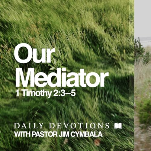 Daily Devotional | Our Mediator | 1 Timothy 2:3&ndash;5 | Pastor Jim Cymbala