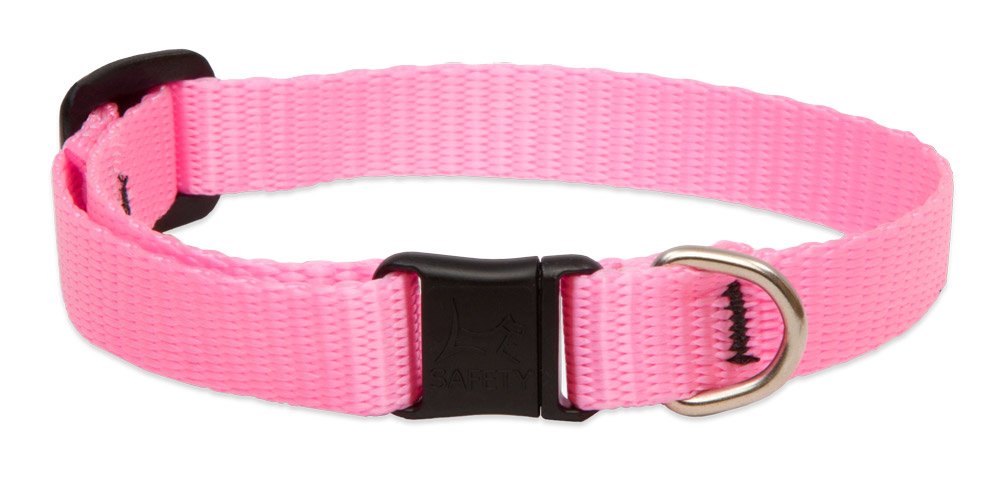 Collier chat sécurité rose LupinePet Basics pour éviter les risques de coincement