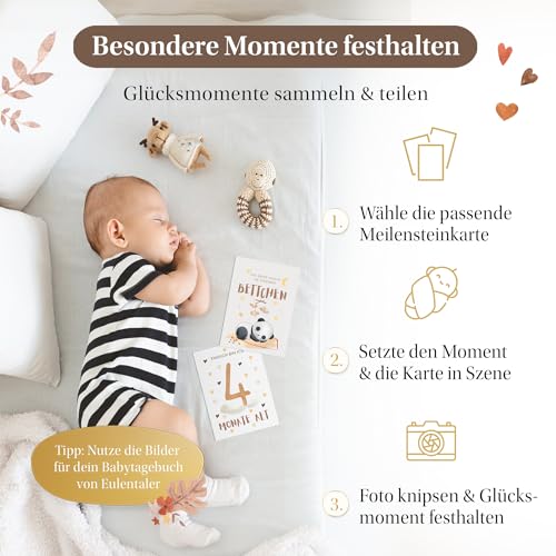 EULENTALER® Meilensteinkarten Baby I Das Original I Von Pädagogen gestaltet I Mit handgemalten Boho Illustrationen I Monatskarten mit beschreibaren Rückseiten I 48 Karten mit Box Mein erstes Jahr