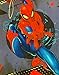 Marvels Spiderman on Building Fleece Throw Blanket 40 x 60 (Blue)