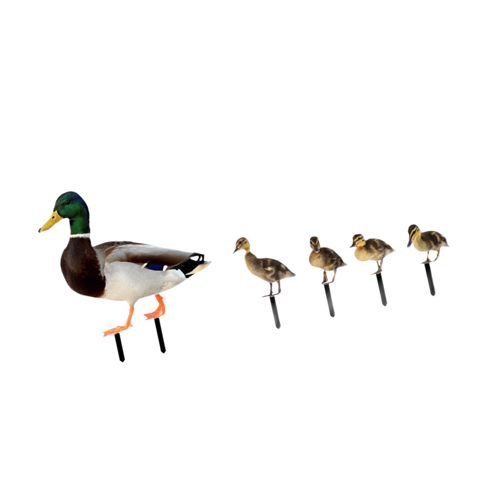Zambuph Artistic Duck Statues Garden Stakes Beautifully Crafted Yard Art Ornaments Outdoor Settings Duck Statues Garden Stakes Are Made Of Metal Yard