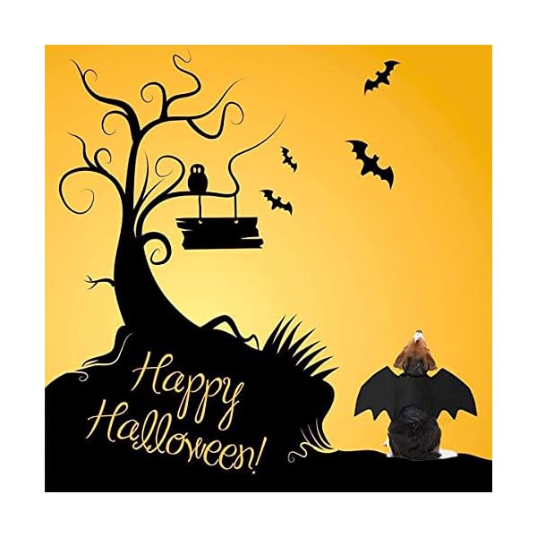 Lkex halloween large dog costume, pet bat wings & vampire cloak, 2 pack, dog funny holiday clothes for bloody zombie cosplay party - image 3