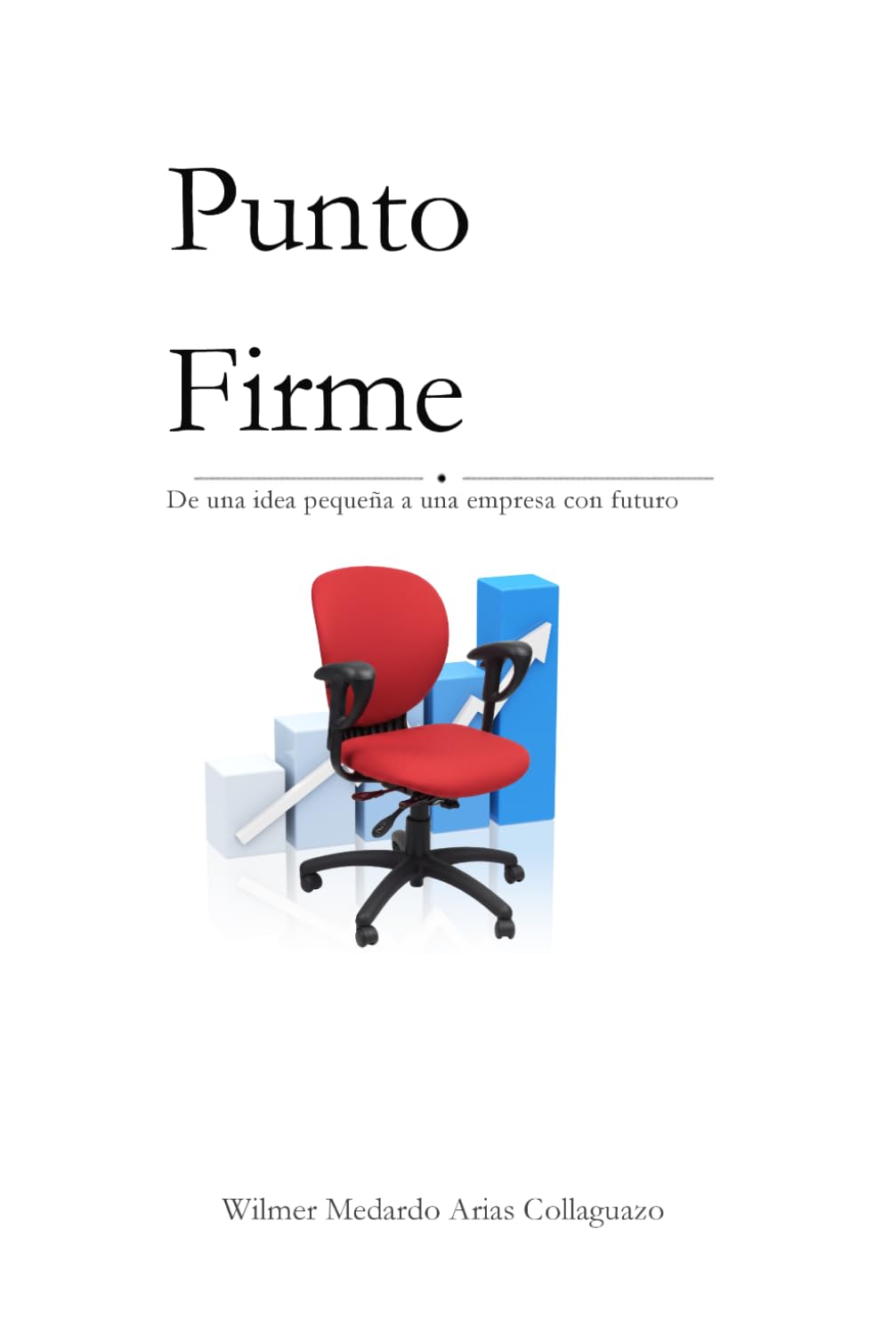 Punto Firme: De una idea pequeña a una empresa con futuro