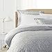 Pinzon Paris Printed Egyptian Cotton Sateen Duvet Set - King, Light Gray