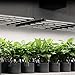 AC Infinity IONFRAME EVO6, Samsung LM301H EVO Bar LED Grow Light 4x4, 1680 Diodes, with Schedule Controller, 500W Full-Spectrum Commercial Plant Lights for Indoor Growing in Grow Rooms & Greenhouses