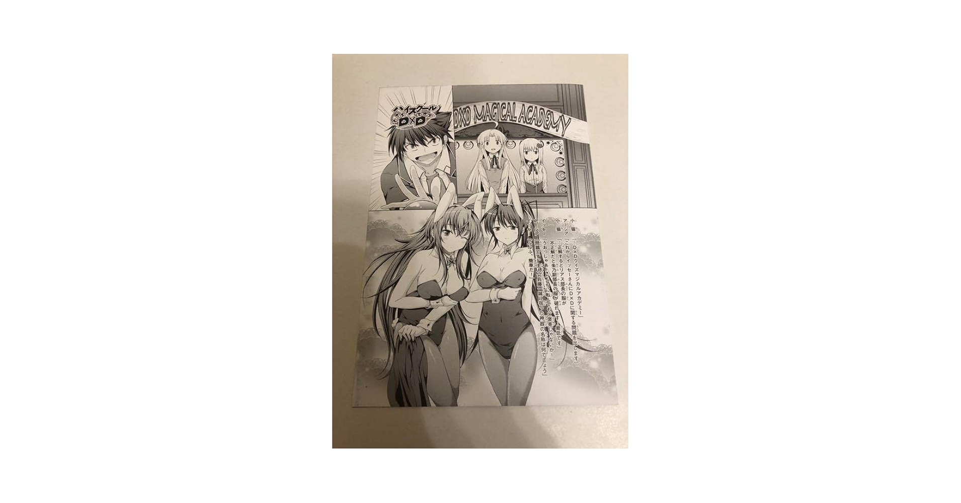 【非売品】真 ハイスクールD×D みやま零 描き下ろし ブックカバー ③ Amazon.co.jp: 真 ハイスクールD×D みやま零 描き下ろし ブック