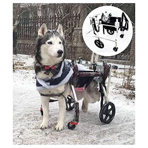 Silla de Ruedas para Perros para Perros Grandes Discapacitados Animal Extremidades anteriores Extremidades traseras Carro eléctrico 4 Ruedas Silla de Ruedas para Perros Ajustable V