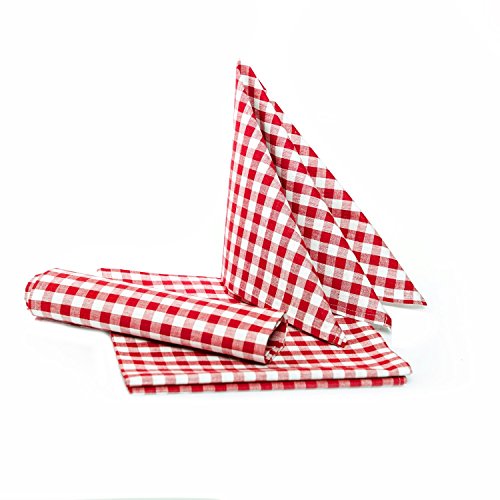 texpot Landhaus Servietten 40 x 40 cm - 6 Stück rot-weiß Kariert 5 mm Karo 100% Baumwolle – Ansicht 1