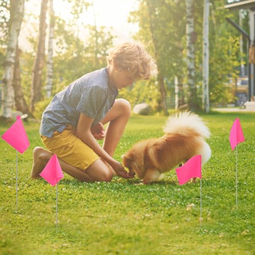 Zozen Pacote com 100 bandeiras de marcação, bandeiras de marcação rosa - 38 x 12 x 12 cm, bandeiras