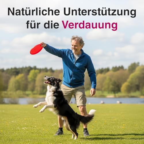 alfavet EnzymoPank 100 g – Pulver zur Unterstützung der Verdauung – Enzyme aus Schweinepankreas - Ergänzungsfuttermittel für Hunde & Katzen