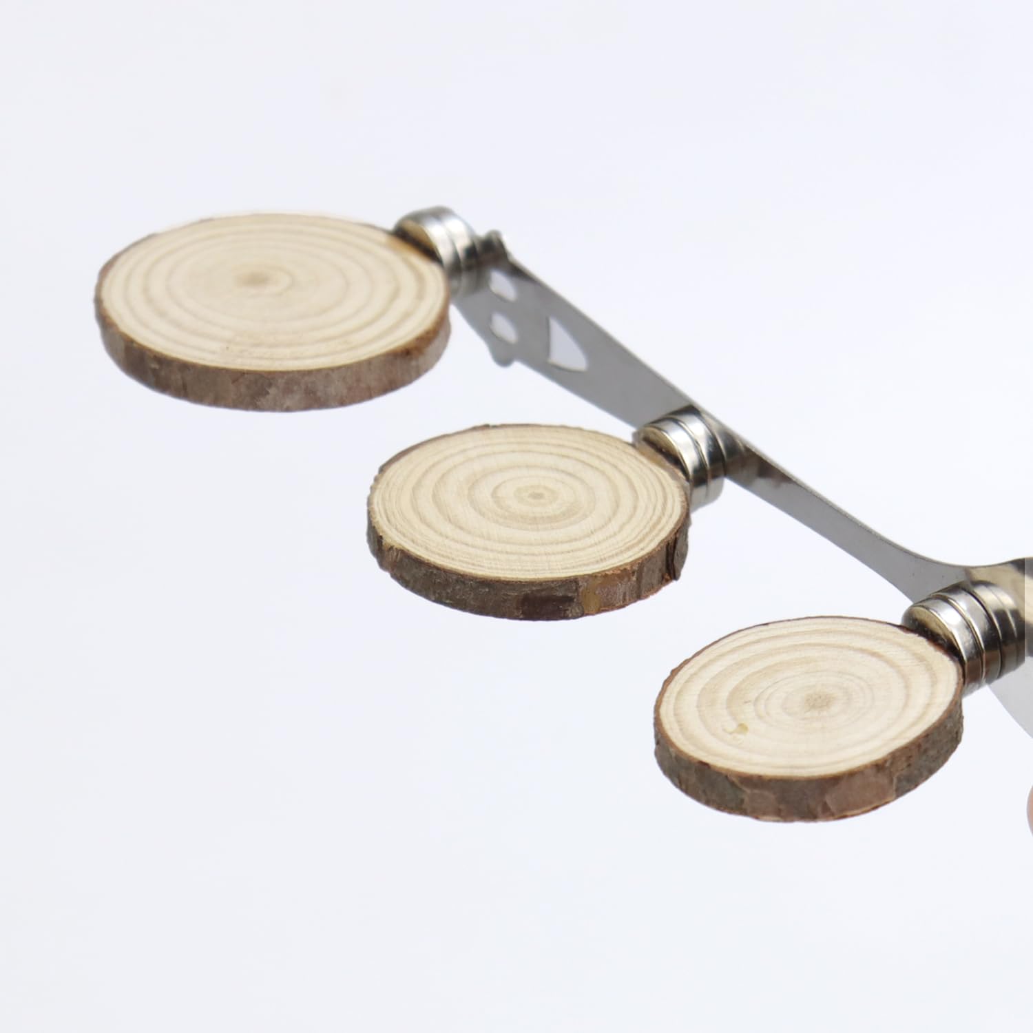 3 Magnetische Blatt-Leisten Für Springspinnen-Terrarium – Aus Holz, Mit Starken Magneten, Dekoration