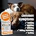 HomeoPet Storm Stress, Safe and Natural Storm-Stress Relief for Dogs and Cats, 15 Milliliters