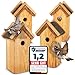 4 Stück Oramics Nistkasten Vogelhaus mit echtem Bitumen Dach zum Aufhängen – Kiefernholz Vogelhäuschen für Wild- und Gartenvögel – wetterfestes und langlebiges Nisthaus, ideal für Meisen MI 4 günstig Kaufen-4 Stück Oramics Nistkasten Vogelhaus mit echtem Bitumen Dach zum Aufhängen – Kiefernholz Vogelhäuschen für Wild- und Gartenvögel – wetterfestes und langlebiges Nisthaus, ideal für Meisen