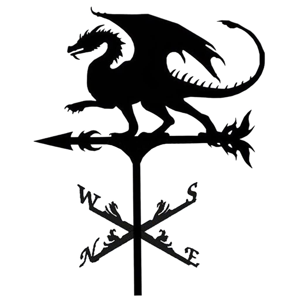TAXXII Wind Direction Indicator,Weather vanes. Vane Weather Vain for Roof Vanes Roofs Weathervane -Dragon 13.75x29.47 Inch