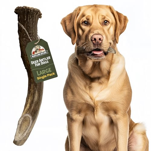 Heartland Deer Antlers for Dogs - Daily Dental Care Chews for Aggressive Chewers to Reduce Plaque & Prevent Destructive Behavior (Large, 6-8', 1-Pack, Grade A, USA Made)