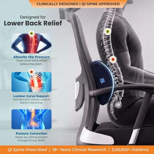 Image of D-Shaped Lumbar Support Roll | 5-Year Warranty | Premium Memory Foam | Medical Grade Back Cushion for Lower Back Pain, Sciatica & Spinal Alignment | Office Chair & Car Seat Lumbar Roll (Blue)